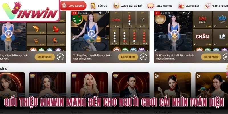 Giới thiệu Vinwin cho người mới tìm hiểu cổng game tài khoản và các chuyên mục chính